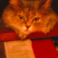 Fabienne